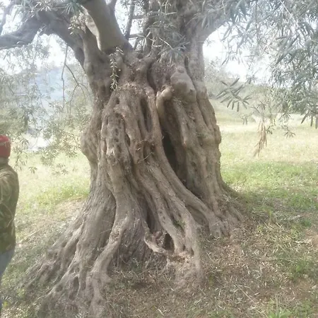 La Casa Sulla Collina بيت للعطل *