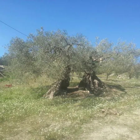بيت للعطل La Casa Sulla Collina *