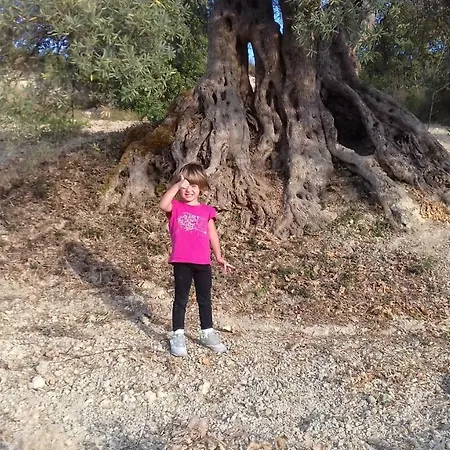 بيت للعطل La Casa Sulla Collina كيارامونتي غولفي