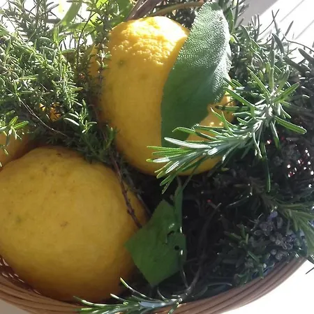 بيت للعطل La Casa Sulla Collina