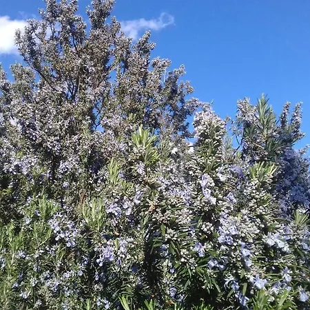بيت للعطل La Casa Sulla Collina