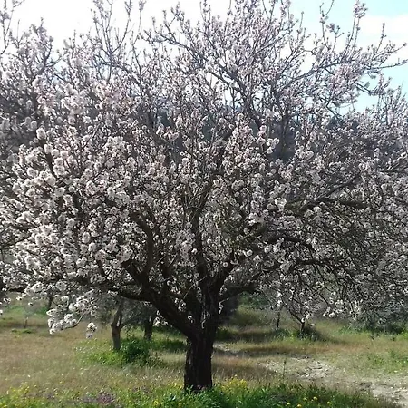 La Casa Sulla Collina كيارامونتي غولفي