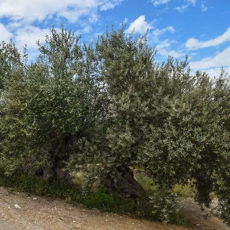 La Casa Sulla Collina