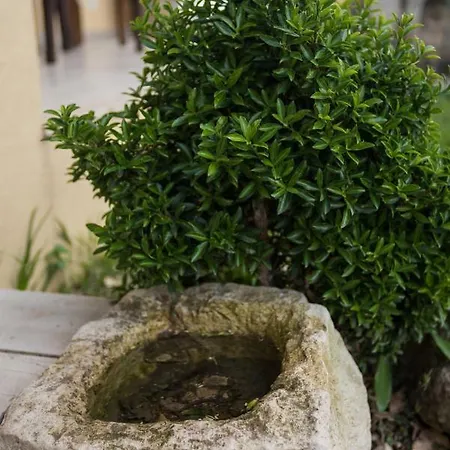 بيت للعطل La Casa Sulla Collina