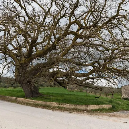 La Casa Sulla Collina بيت للعطل كيارامونتي غولفي