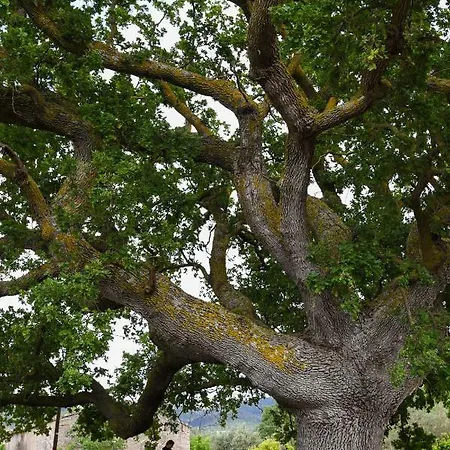 بيت للعطل La Casa Sulla Collina