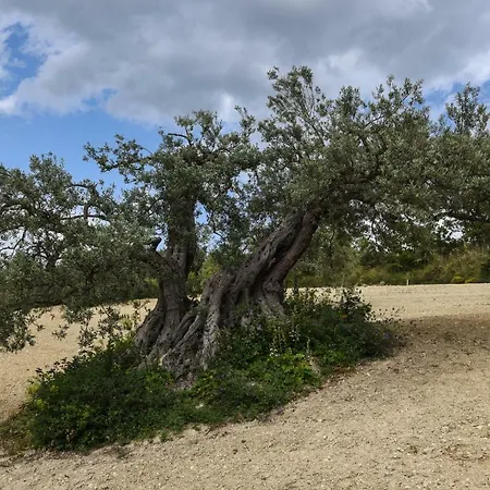 La Casa Sulla Collina كيارامونتي غولفي