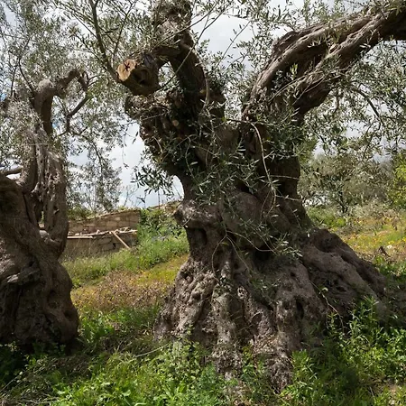 La Casa Sulla Collina بيت للعطل *